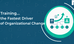 Gemini_Generated_Image_awb4cqawb4cqawb4